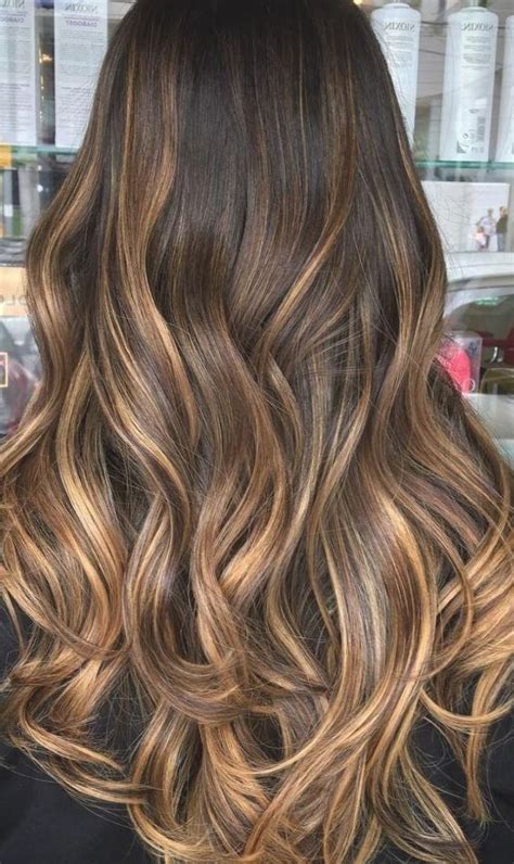 light brown to dark brown ombre hair|More.